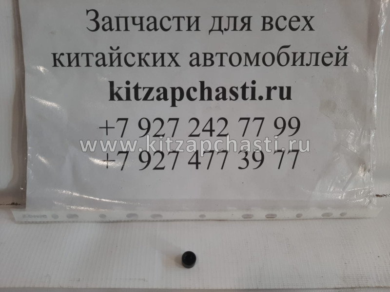 ЗАГЛУШКА ПОРОГА Chery Indis S11-5110031